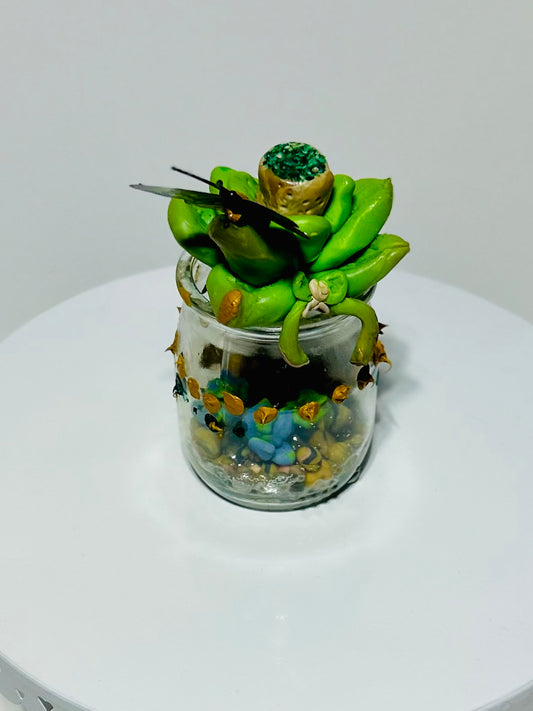 Jar of Succulents